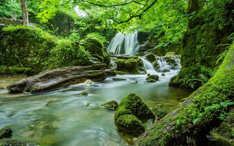 独特节能无人化